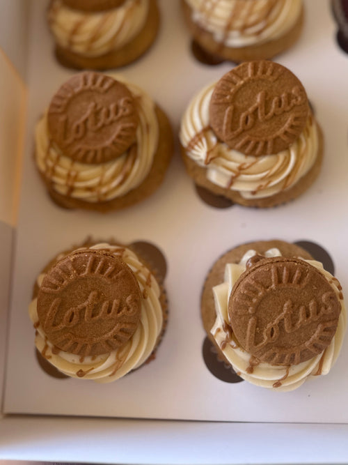 6 PACK CUPCAKE